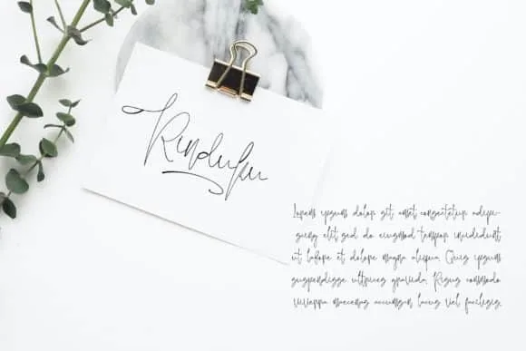 Jelliva Patricia Font