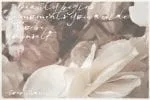 Jenna Jenkins Font