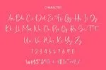 Jenyta Modern Calligraphy Font
