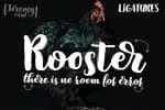 Jeremy – 3 Fonts