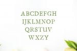 Jerricca Font