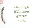 Jerricca Font