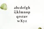 Jerrick Serif 6 Font Pack