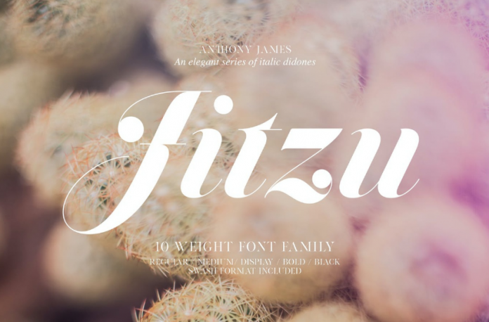 Jitzu Typefamily Font