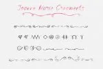 Joanne Marie Calligraphic Font