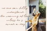 Jolie Font