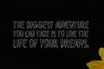 Jonquil Sequent Font