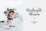 Josefine Font