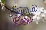 Joyeria Rose Font
