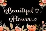 Jully Julia Font