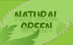 Junggle Font
