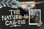 Jungle Handbrush Typeface