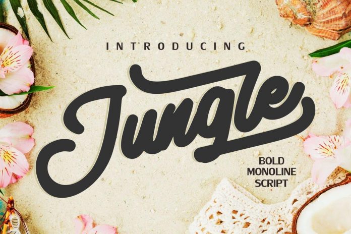 Jungle Monoline Bold Script