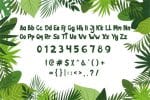 Jungle Zone Font