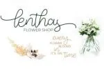Justin Hailey Font