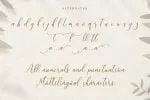 Juwellina Font