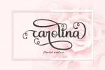 KInanty Font
