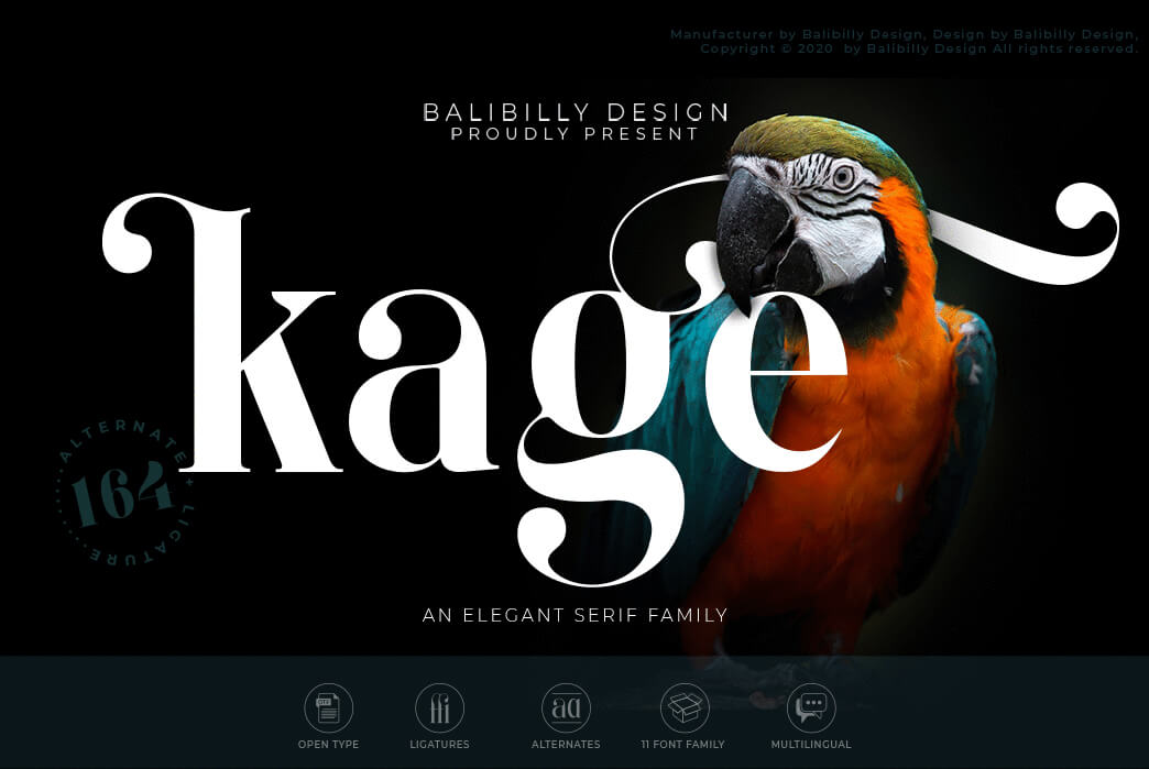 Kage Serif- Typeface