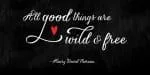 Kailey Font