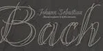 Kalli Sketch Font