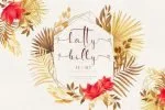 Kallyca Font