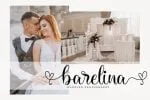 Kamiley Font