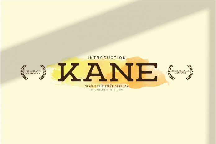 Kane - Stunning Slab Serif Fonts