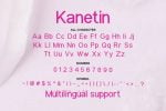 Kanetin Font