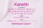 Kanetin Font
