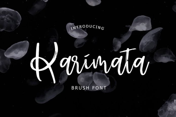 Karimata Brush Script Font