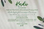 Kasdio - Casual Brush Font