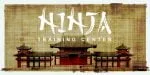 Kashima Brush font