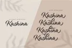 Kashina Brush Script