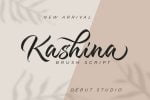 Kashina Brush Script