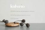 Katerio Font