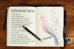 Katherine Handwriting Font