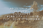Kathleena Font