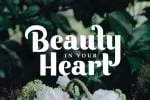 Keilla – Clean Display Font