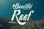 Kekfish Font