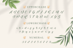 Khansa Font