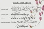 Kilena Font