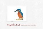 Kingfisher Font