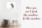 Kingfisher Font