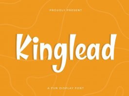 Kinglead - Fun Display