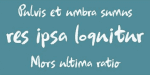 Kingsmead Script Font Family