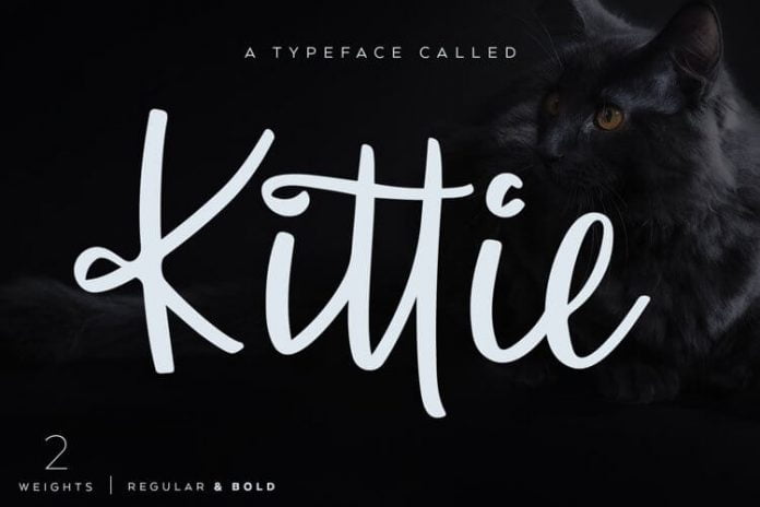 Kittie Regular & Bold Font