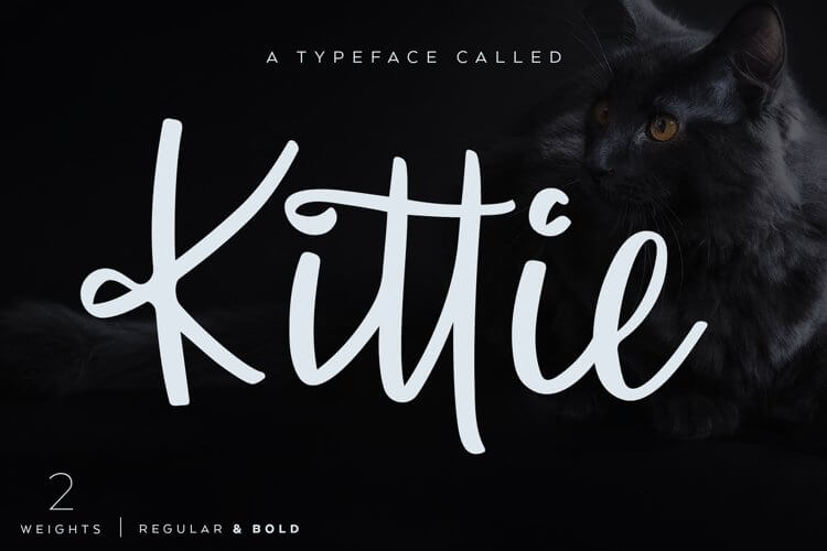 Kittie Regular & Bold Font