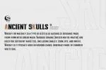 Knucklehead Serif - Vintage Font