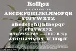 Kolhoz - Modern Retro (c) Font