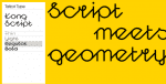 Kong Script Font Family